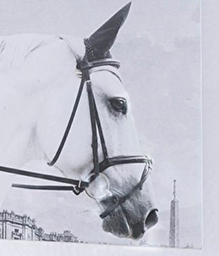 輸入雑貨 アートフレーム 額絵 2枚セット 馬 クラシックモダン