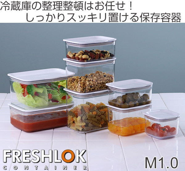 保存容器 フレッシュロックコンテナ M 1.0L （ 密閉 プラスチック 日本