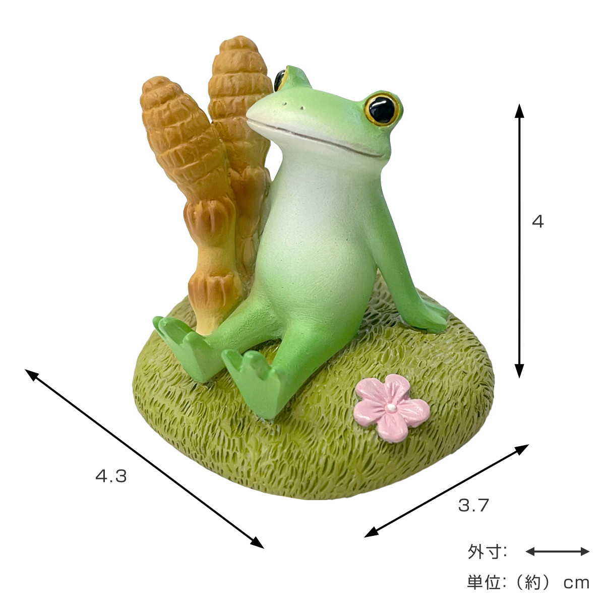 467291-sz.jpg