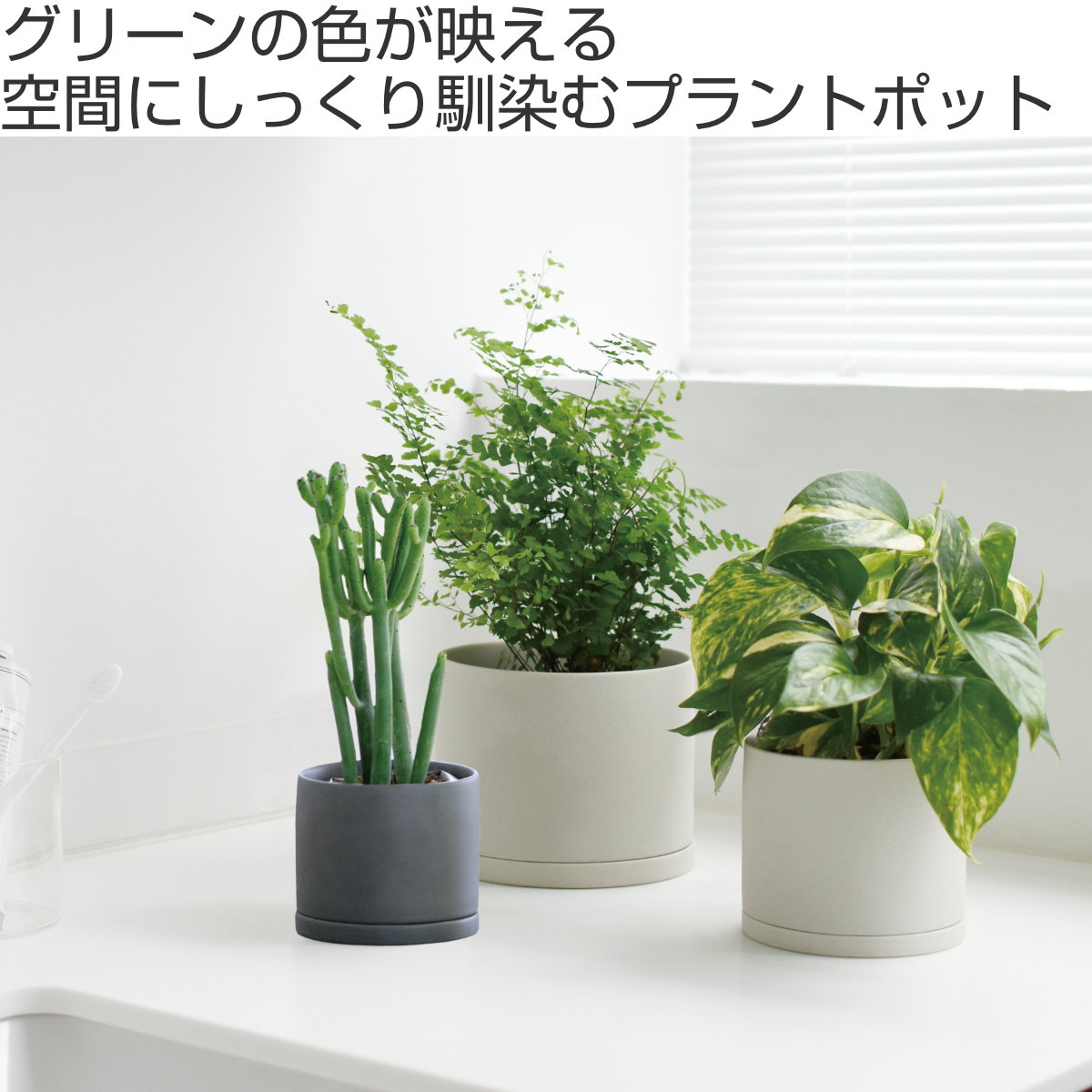 KINTO キントー プラントポット 191_ 105mm （ プランター 10.5cm 磁器