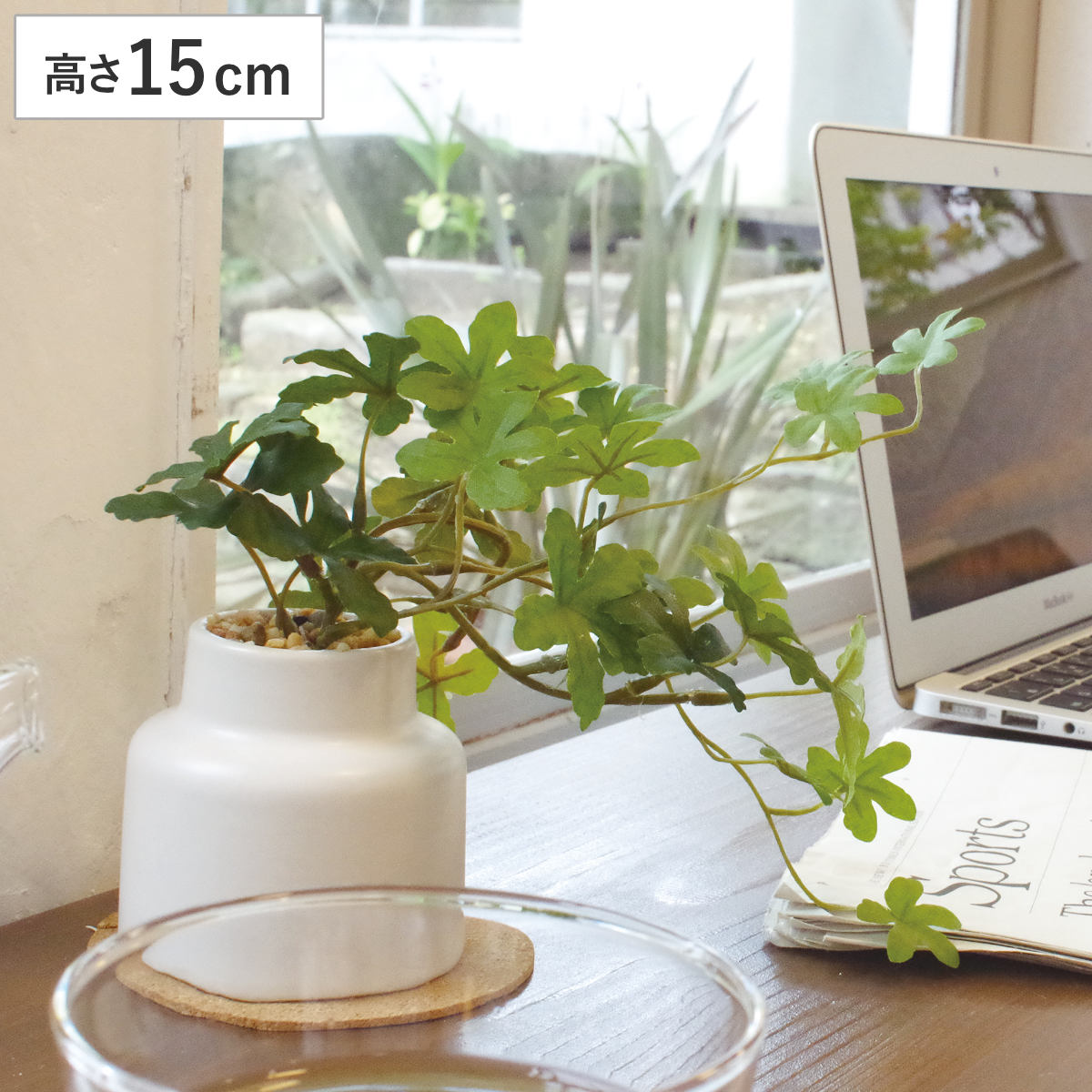 フェイクグリーン シュガーバイン M 人工観葉植物 エクリア （ 卓上
