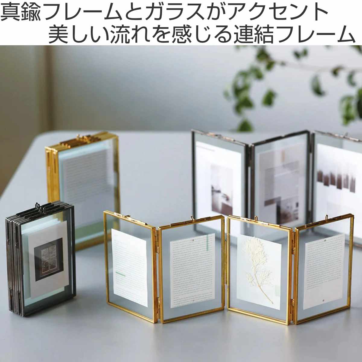 dショッピング |フォトフレーム MOR-02 ポストカード 4枚 （ フォト