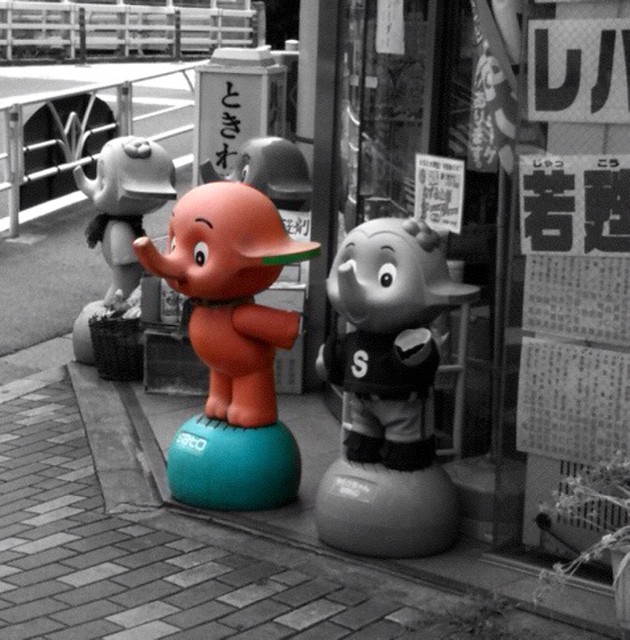サトちゃん | iPhoneから送信 | Tatsuo Yamashita | Flickr