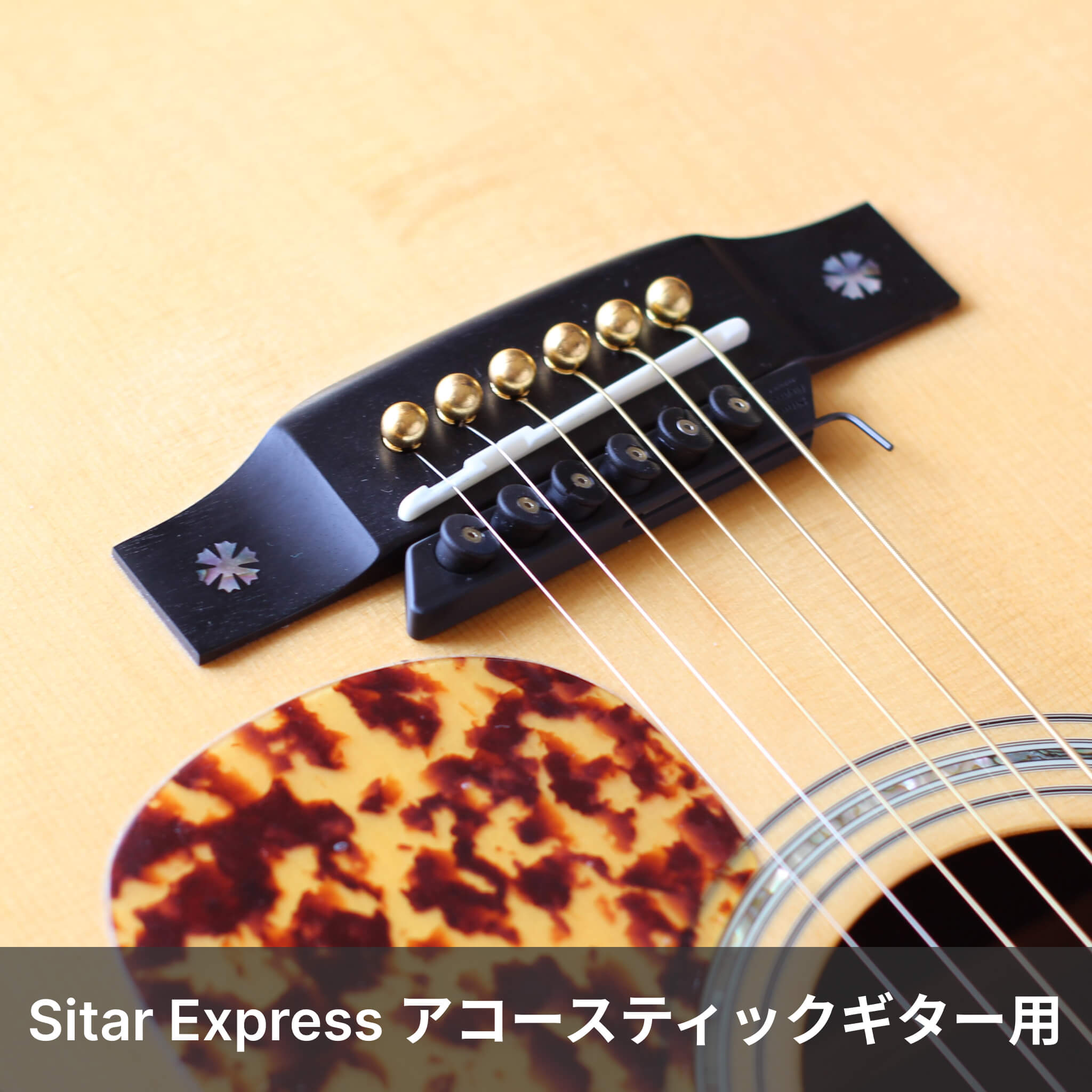 sitar_ac_00.jpg?crop=center&