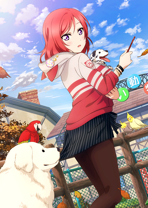 白馬と一緒】西木野真姫 | ラブライブ！スクフェス カードDB