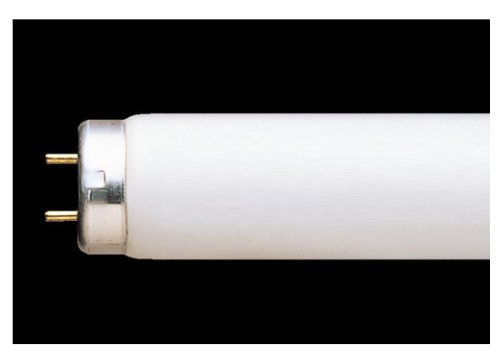 Amazon | 東芝 FL30SN 30W形 メロウホワイト 昼白色□25本セット