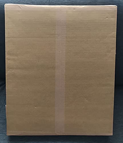 Amazon.co.jp: ワンピース 複製原画 麦わらストア東京ワンピースタワー