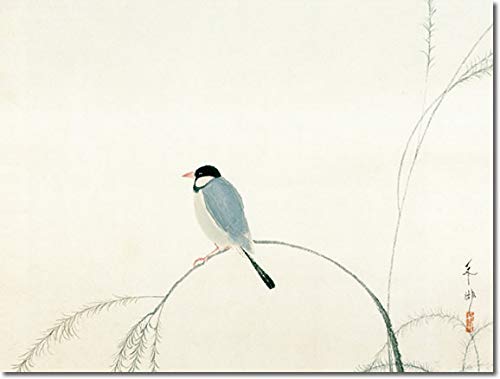 Amazon.co.jp: 掛け軸 掛軸 速水御舟（はやみぎょしゅう）・ ・ 文鳥
