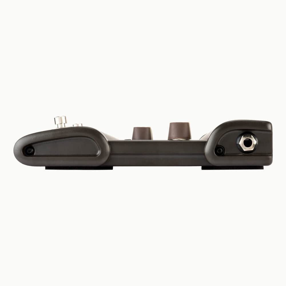 Amazon.com: L.R. Baggs Venue DI Acoustic Guitar Preamp Direct Box