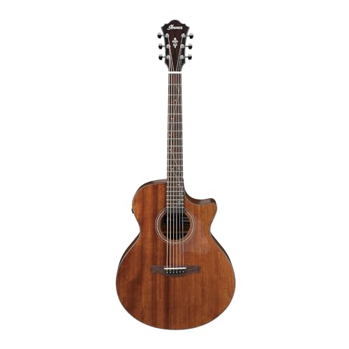 Amazon | Ibanez アイバニーズ AEシリーズ エレクトリック