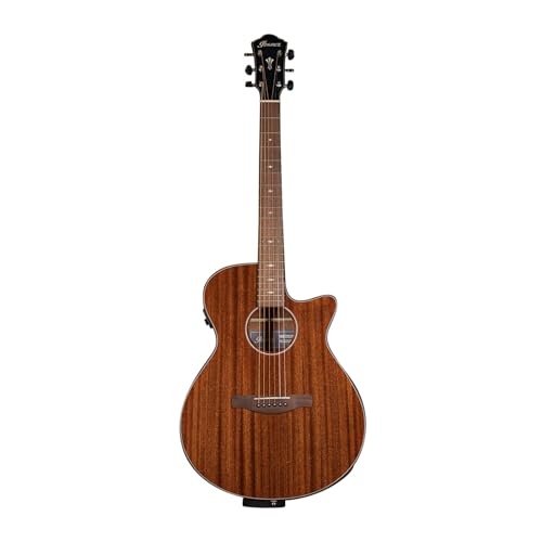 Amazon | Ibanez アイバニーズ 抱えやすいジャストサイズのエレアコ