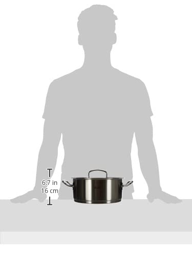 Amazon.co.jp: フィスラー (Fissler) キャセロール シルバー 24cm プロ