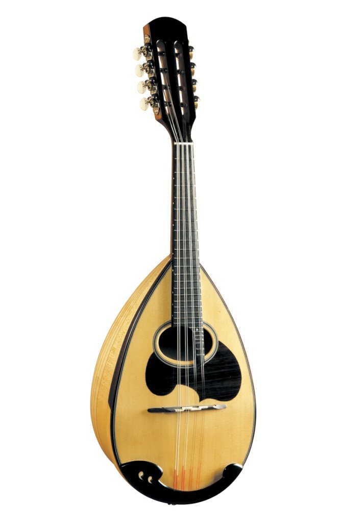 Amazon | 鈴木 マンドリン M-30 | マンドリン | 楽器・音響機器