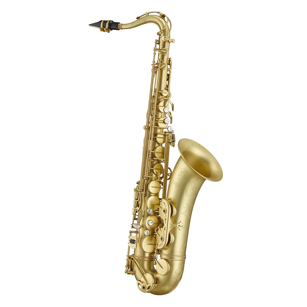 Amazon.com: Antigua Winds 25th Anniversary Model Professional Bb