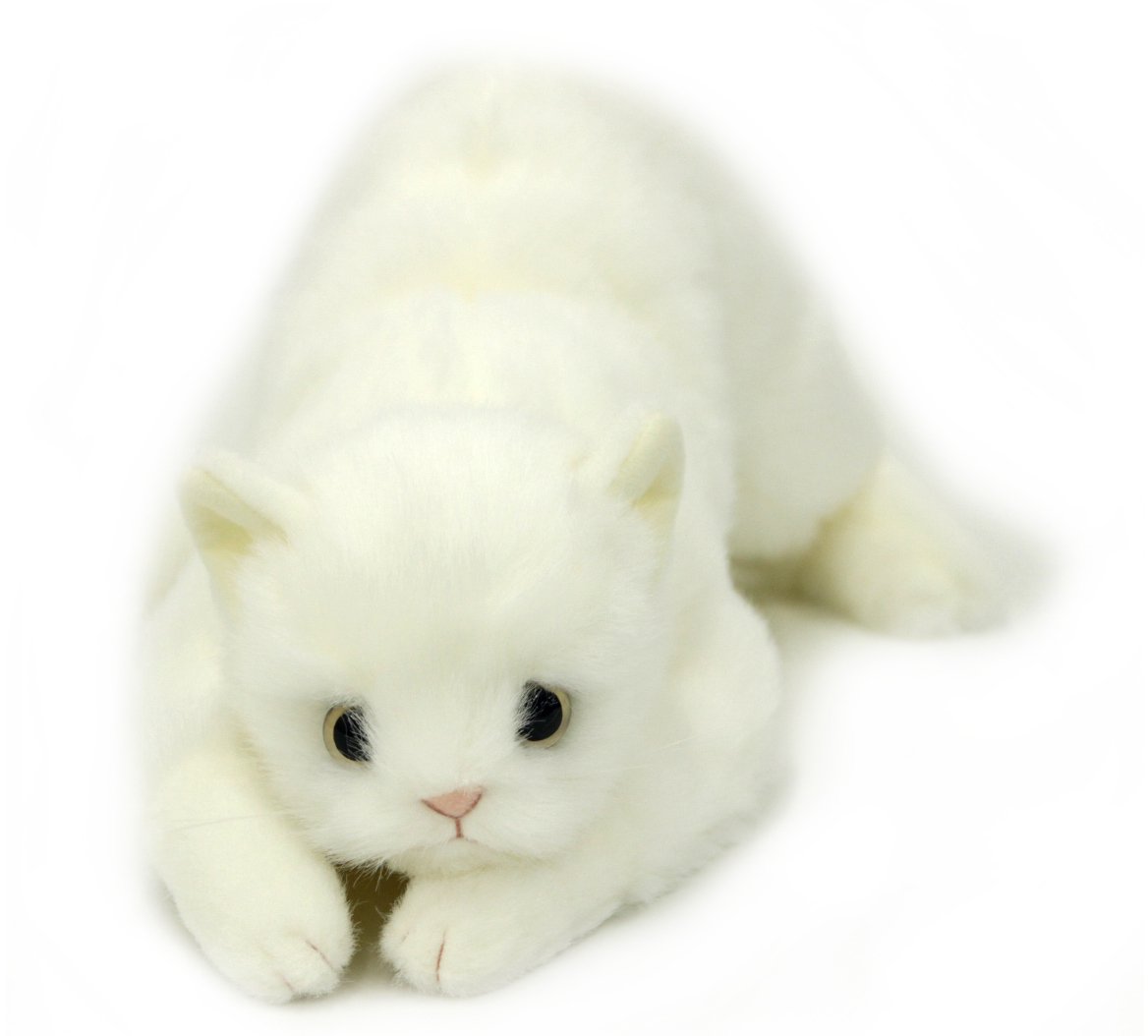 Amazon.co.jp: リアルシリーズ 日本製 リアルな猫のぬいぐるみ 58cm