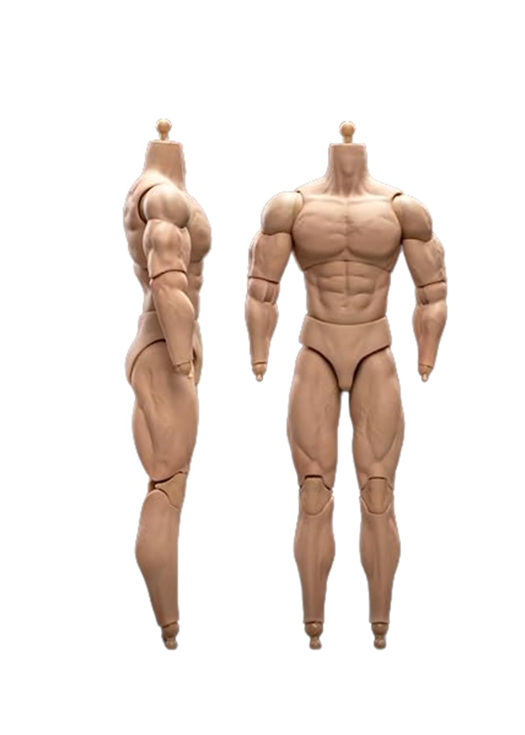 Amazon | 【Tbmodel 】23-Toys 1/6 フィギュア 男性 高質 素体