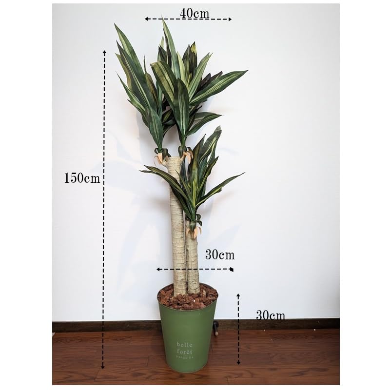 Amazon｜フェイクグリーン 大型 観葉植物 150cm リアル 造花 鉢付き