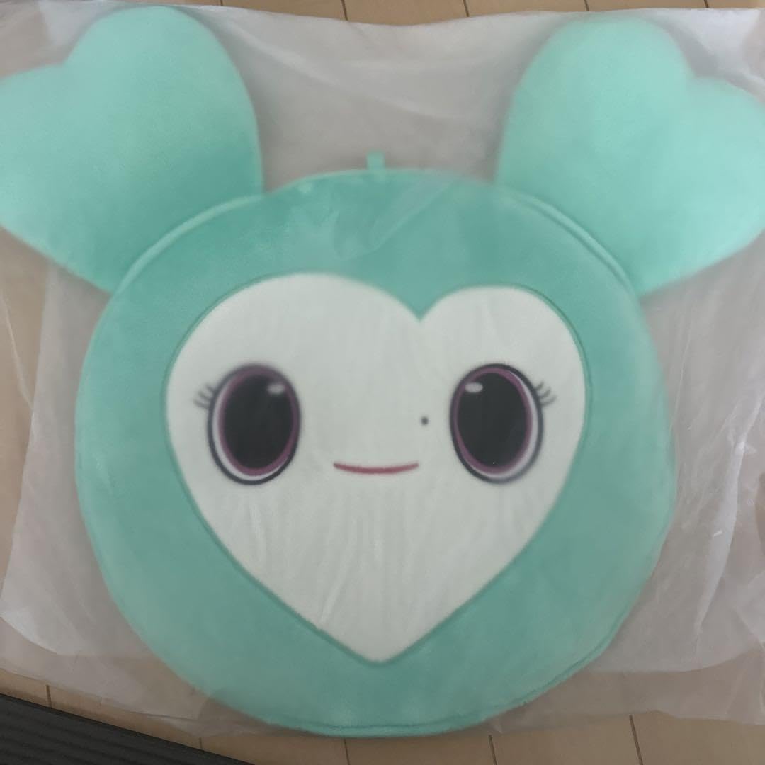 Amazon.co.jp: twice ミナ ミブリー ラブリー うちわケース カバー