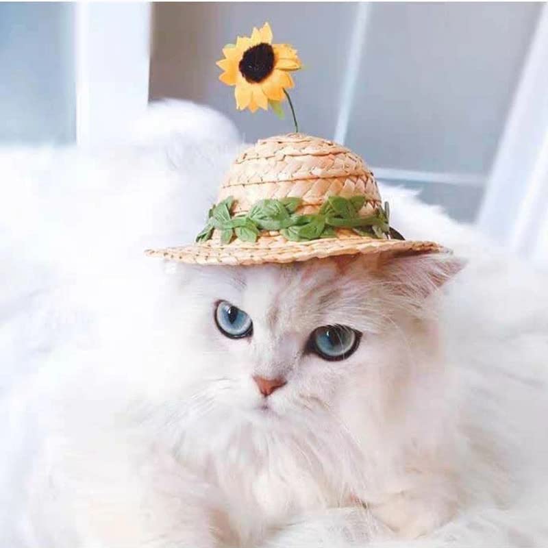 Amazon | ペット用帽子 猫 犬 ハット 夏 麦わら帽子 ひまわり 軽い