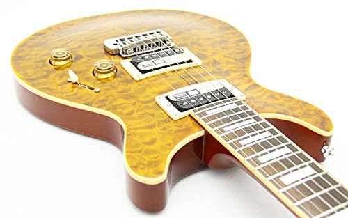 Amazon | EDWARDS/ESP （ エドワーズ ） E-KT-125S/QM TGEYE キルト