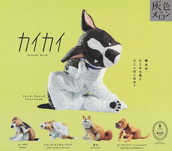 Amazon | カイカイ 5種セット | カプセル玩具 | おもちゃ