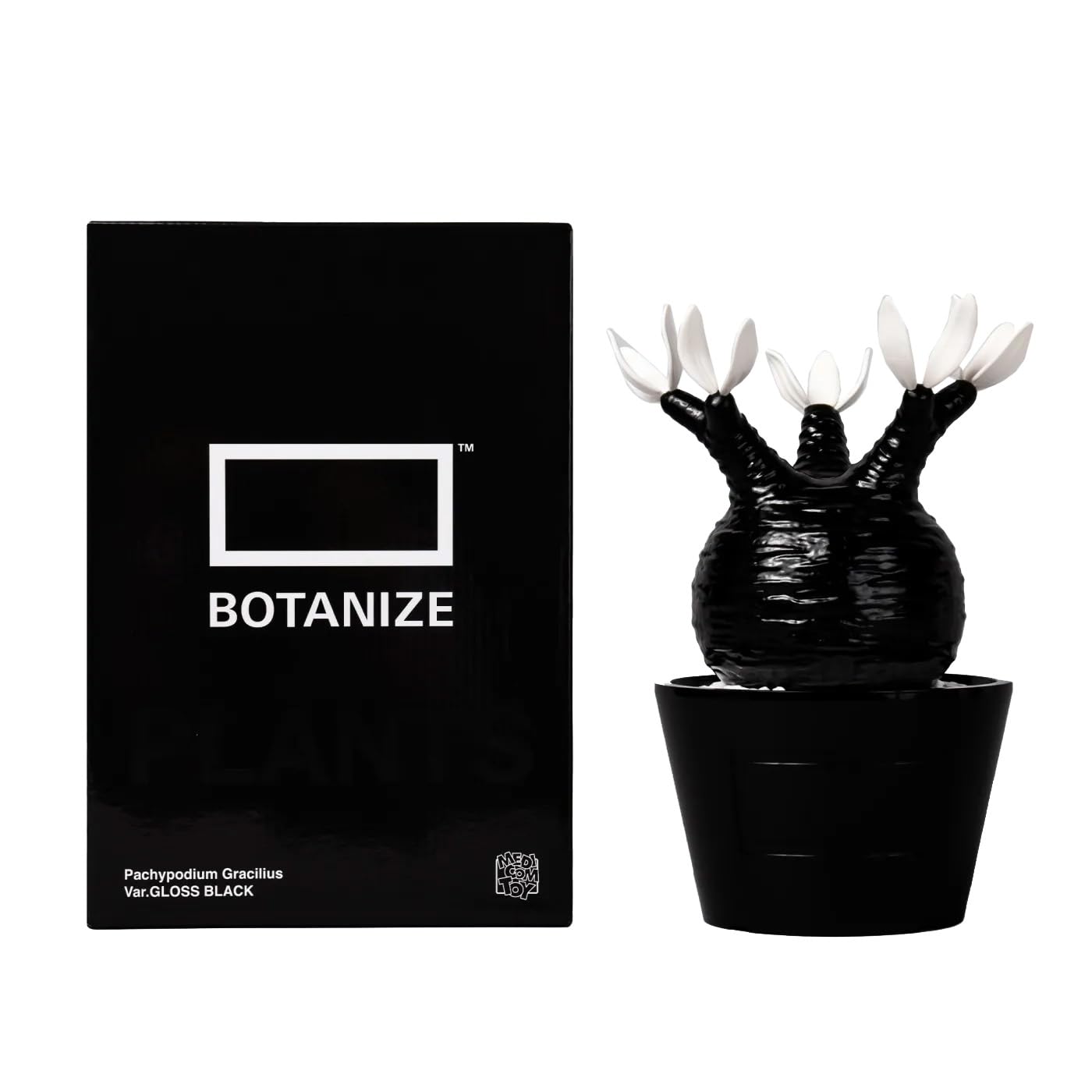 Amazon.co.jp: MEDICOM TOY × BOTANIZE 植物フィギュア, グロス