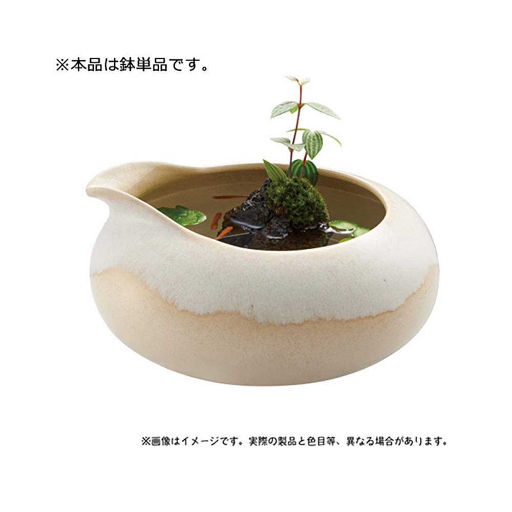 Amazon | ジェックス 和の鴨口陶器鉢 白練 | GEX | 金魚鉢 通販