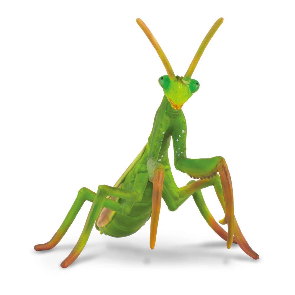 Amazon.co.jp: COLLECTA カマキリ : おもちゃ