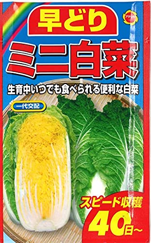 Amazon.co.jp: アタリヤ農園 早どりミニ白菜 : ホーム＆キッチン