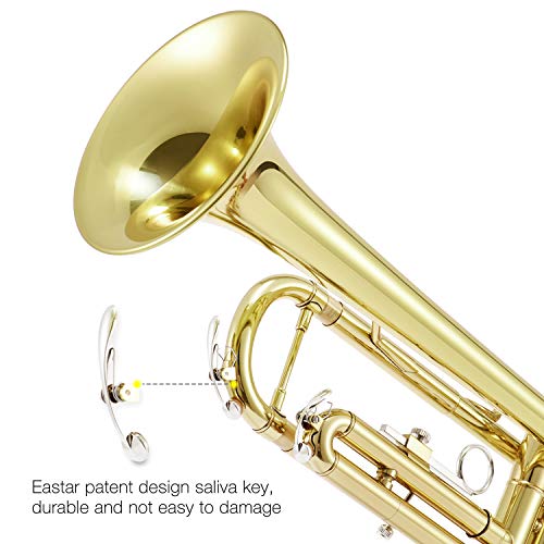 Amazon.co.jp: Eastar: トランペット