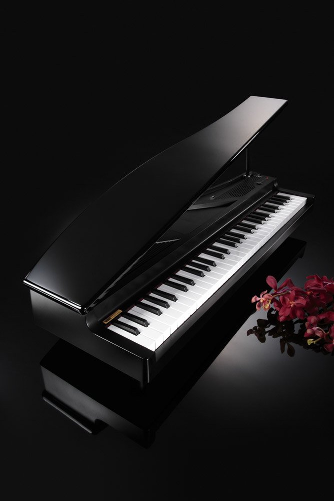Amazon.com: Korg microPiano 61 - Key Minature Grand Piano, Black