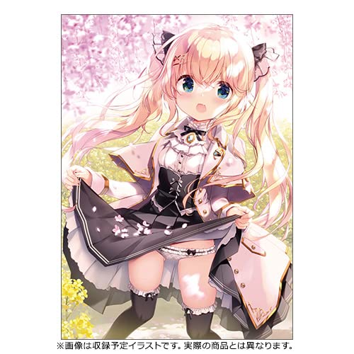 Amazon.co.jp: KADOKAWA Bloomin' -きみしま青画集- 箔押しケース+ラフ