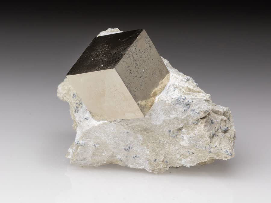 Amazon | SCIENCE 母岩付鉱物標本 鉱物結晶「母岩付 黄鉄鉱 (おうてっ