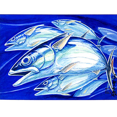 Amazon.co.jp: 安藤洋重『勝つ魚の群れ』洋画 動物画 魚 カツオ 鰹 勝
