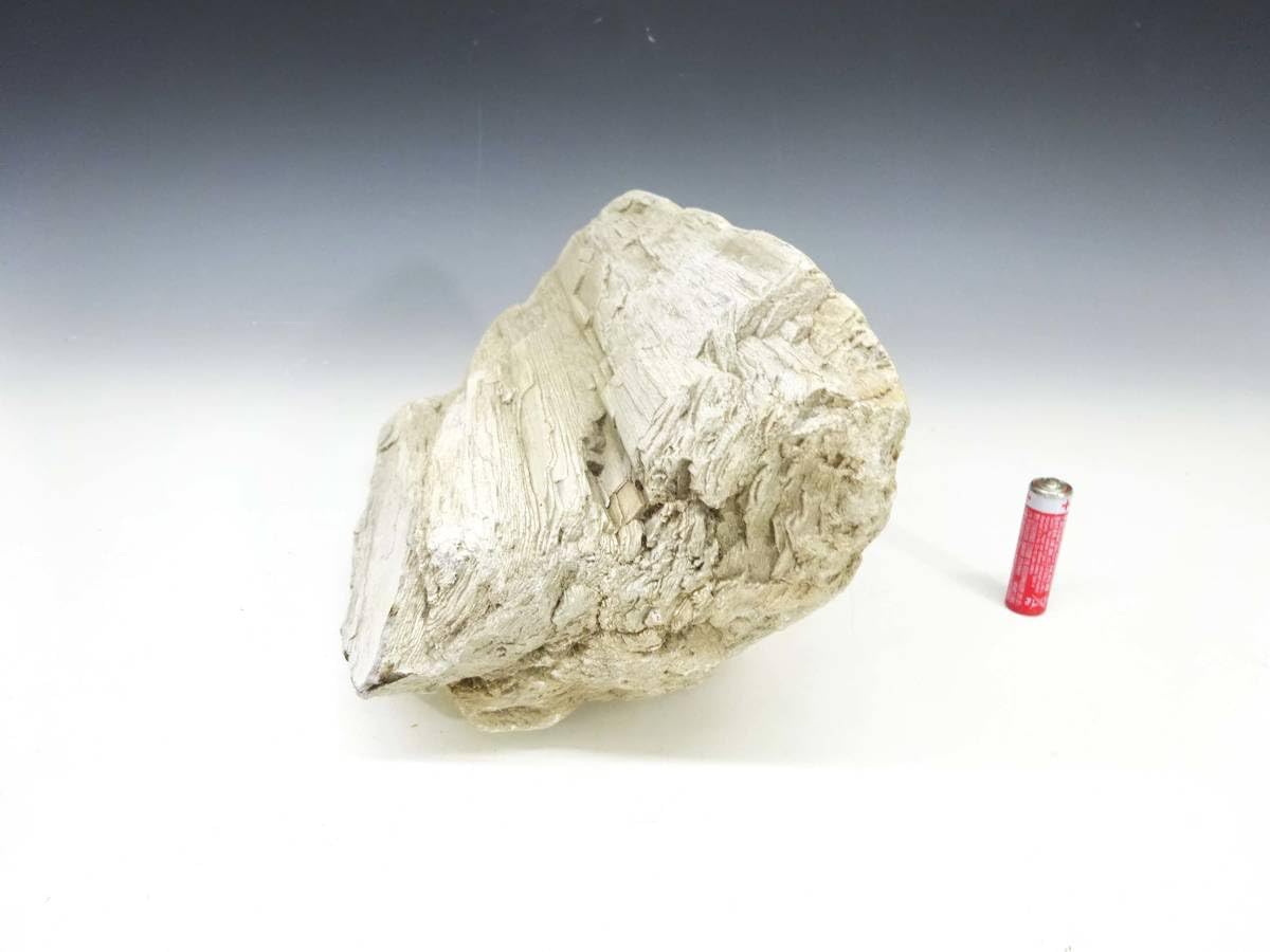 自然木の置物 高さ約30cm23kg 見た目も美しい天然木石の珪化木