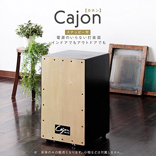 Amazon.co.jp: カホン （スナッピー付） 日本製 TCA-2 : 楽器・音響機器
