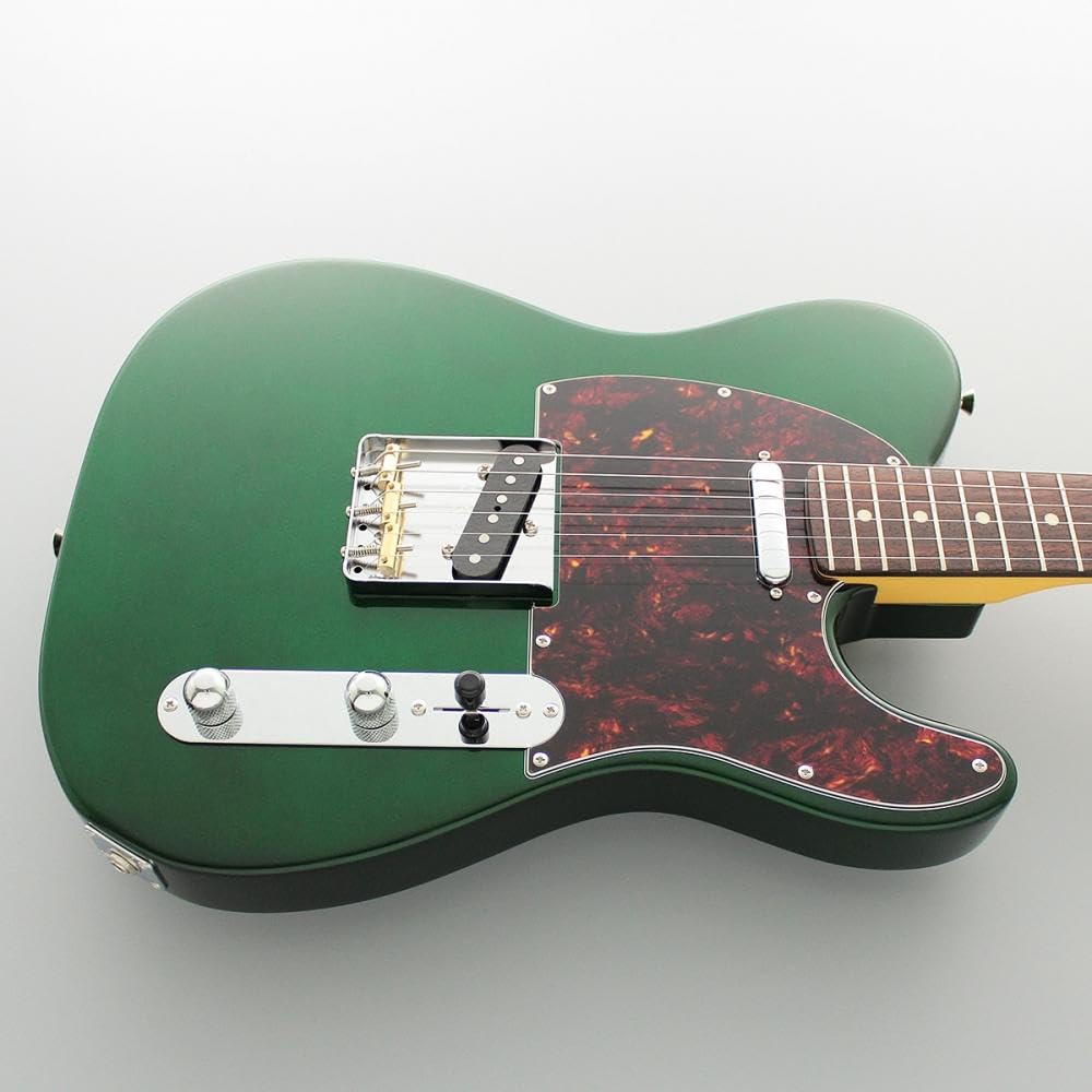 Amazon | FUJIGEN Neo Classic SERIES NTE100RAL-CAG/01 エレキギター