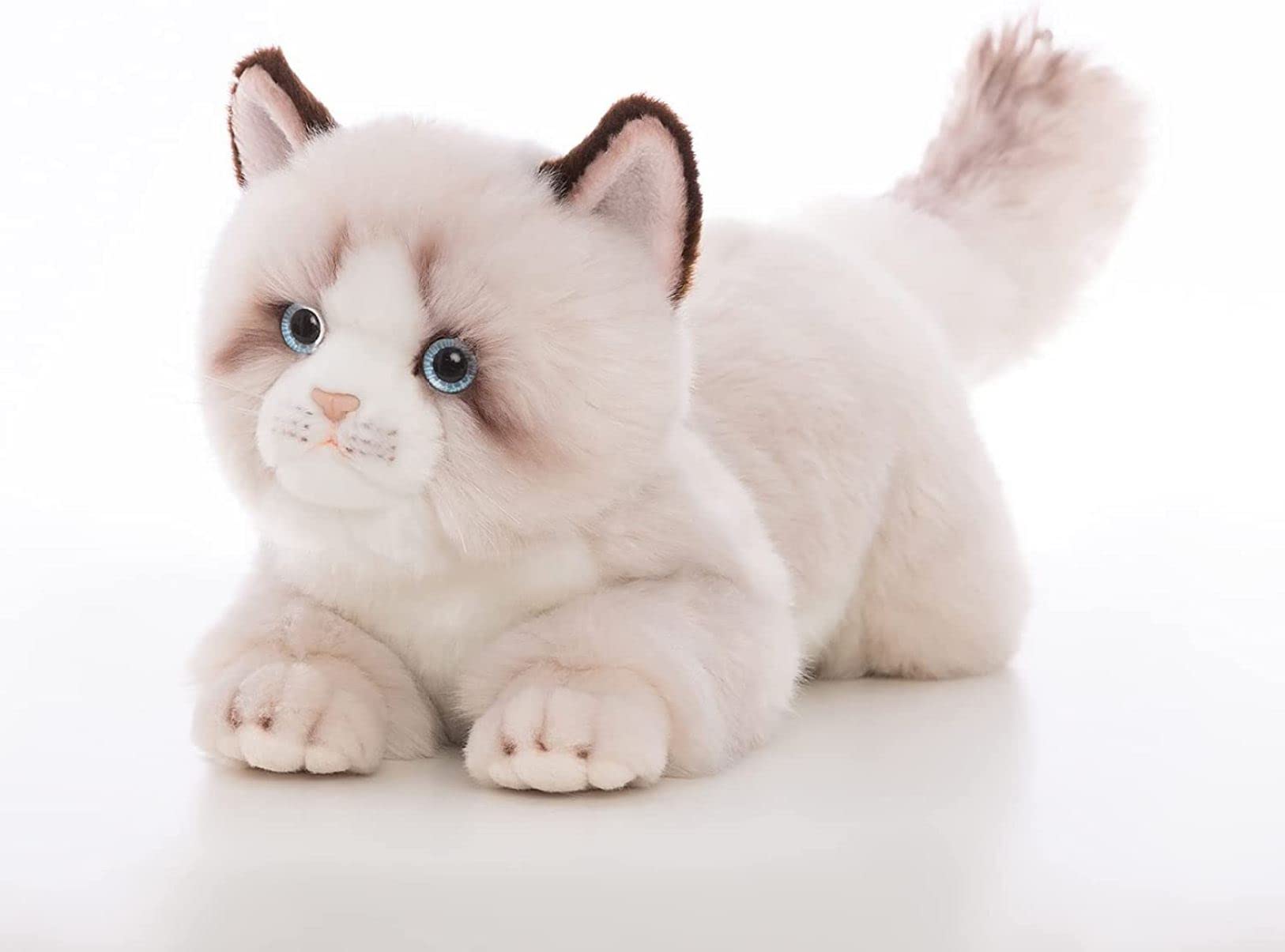 Amazon.co.jp: 灰色のラグドール猫ぬいぐるみぬいぐるみ-リアルなアン