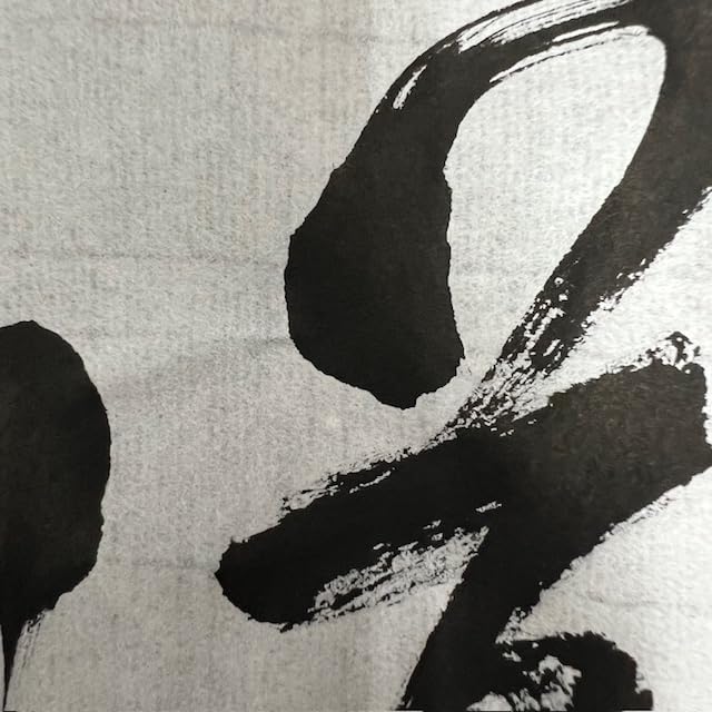 Amazon.co.jp: 天義堂 書道用紙 半切 清書 「滲まず、書きやすい」 100