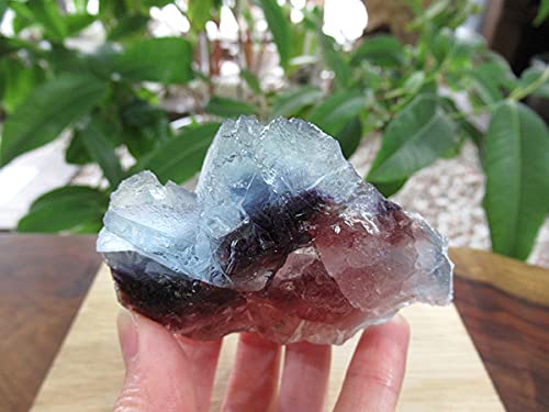 Amazon.co.jp: フローライト原石 結晶 鉱物 内モンゴル自治区産/販売