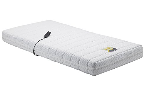 Amazon.co.jp: フランスベッド 電動リクライニングマットレス ルーパー