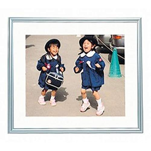 Amazon | FUJICOLOR 額縁 A13 [ 無反射ガラス ] 全紙 アルミ シルバー