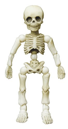 Amazon.co.jp: ポーズスケルトン ヒト (2) コドモ : おもちゃ