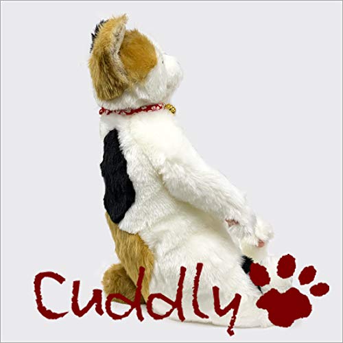 Amazon.co.jp: ＜Cuddly＞カドリー こだわりのぬいぐるみ 三毛猫の