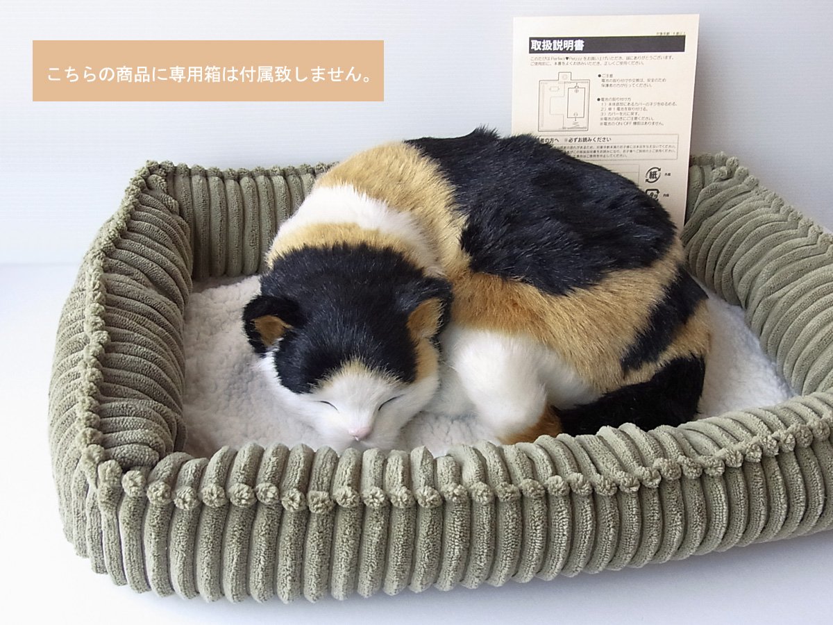Amazon.co.jp: ニニアンドキノ パーフェクトペット (大サイズ) 三毛猫