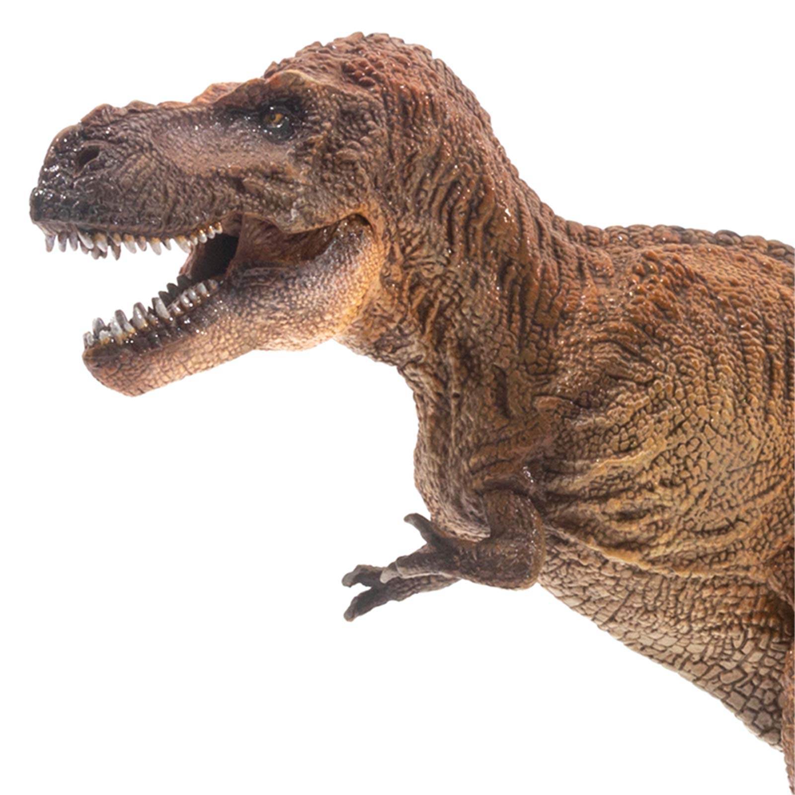 Amazon | PNSO 恐竜大王 先史時代の動物 25 ティラノサウルス