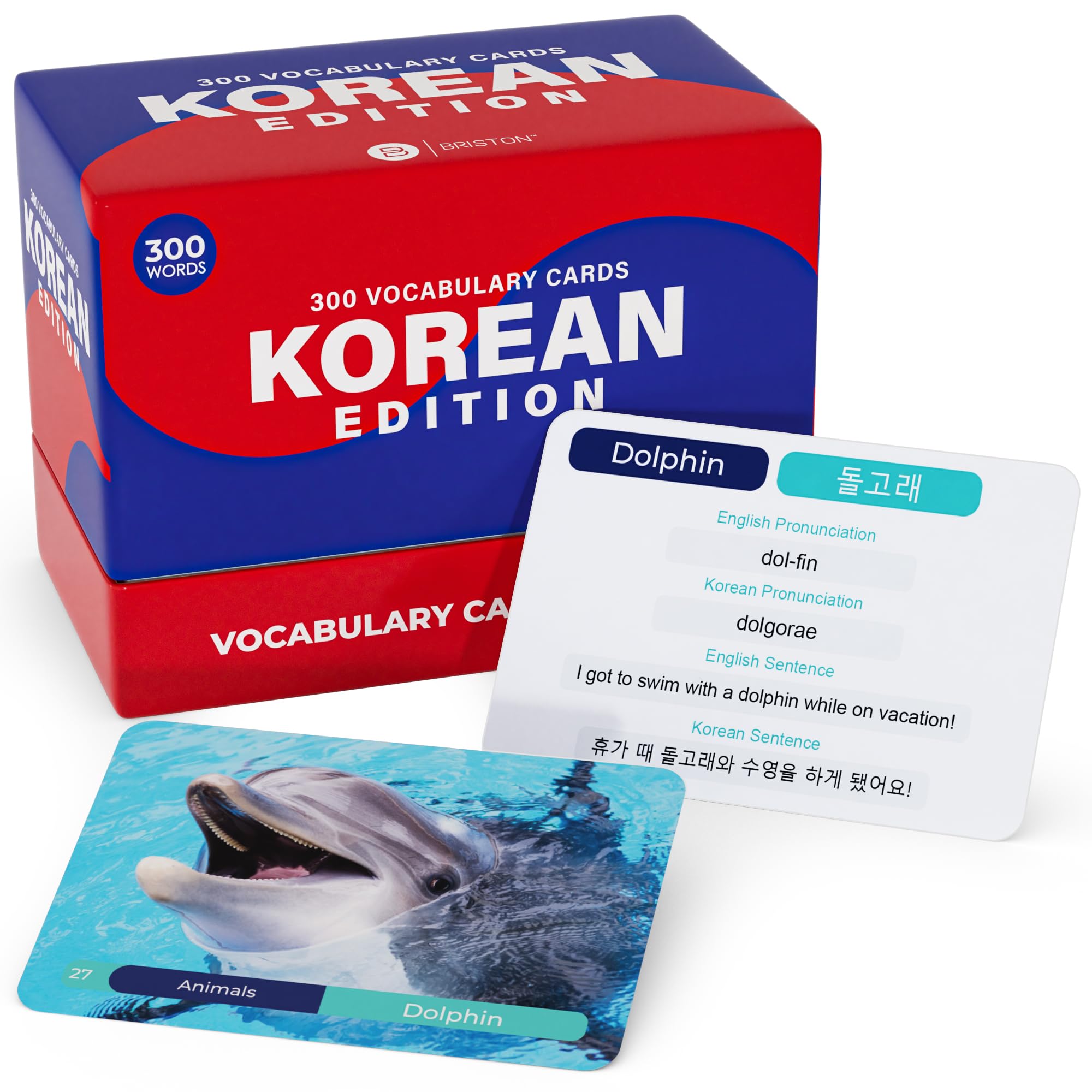 Amazon.com: Briston Korean Vocabulary Flash Cards – 300 Words