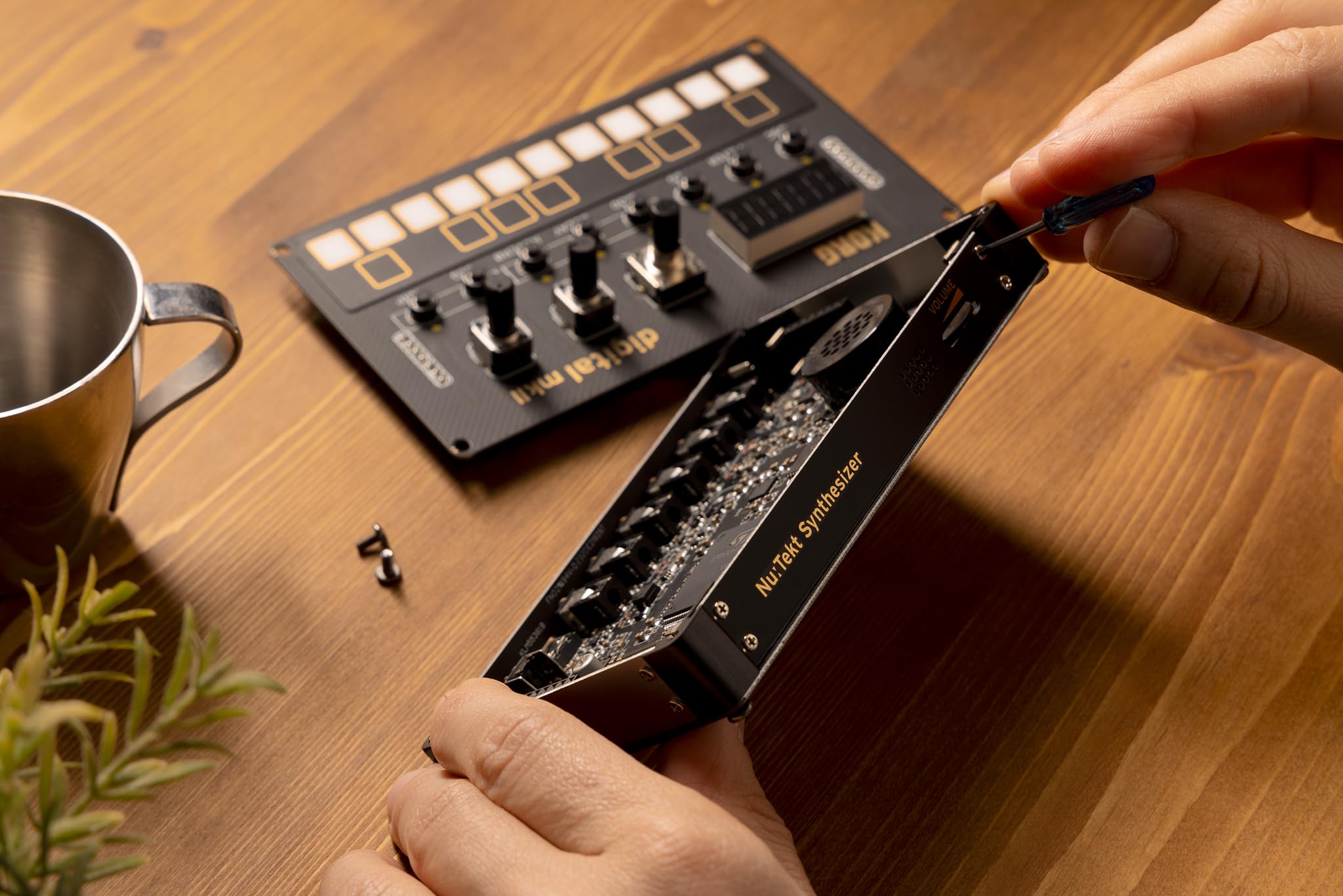 Amazon.co.jp: KORG コルグ/NTS-1 digital kit mkII PROGRAMMABLE