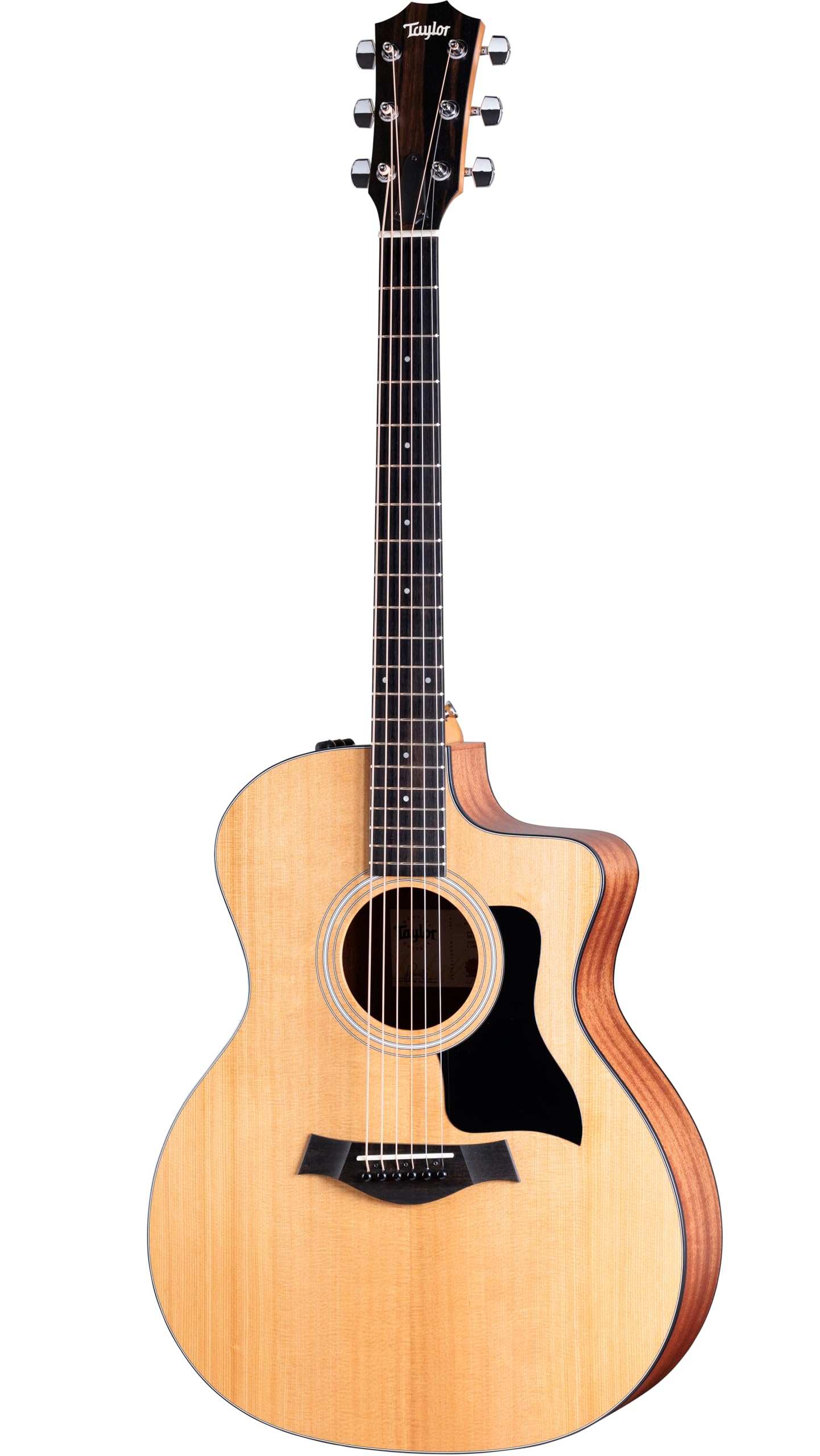 Amazon | Taylor Taylor 114ce グランドオーディトリアム