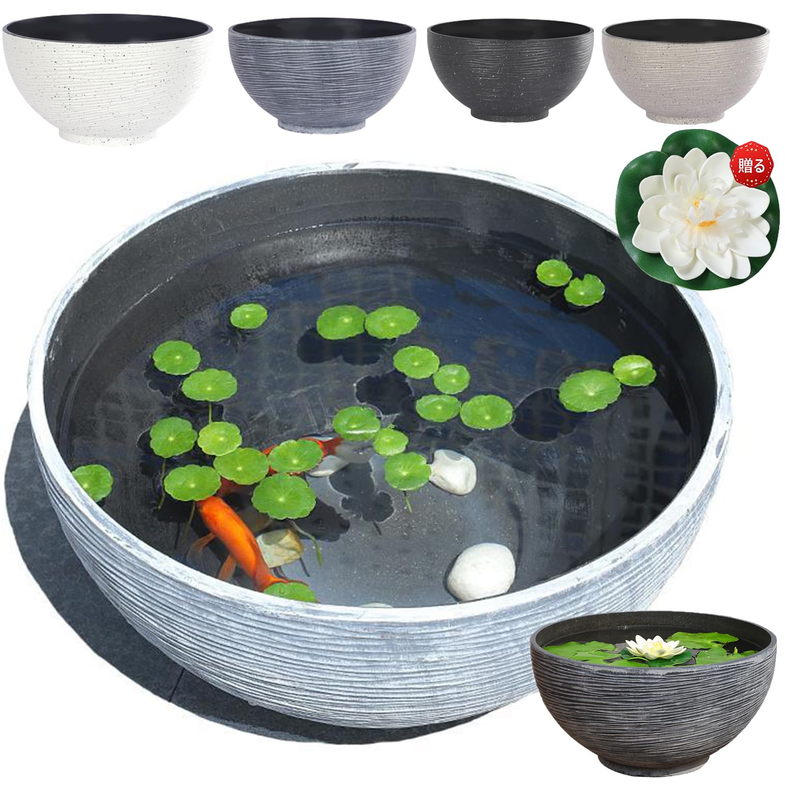 Amazon | 金魚鉢 大型 プラスチック 睡蓮鉢 メダカ 鉢 屋外飼育 金魚